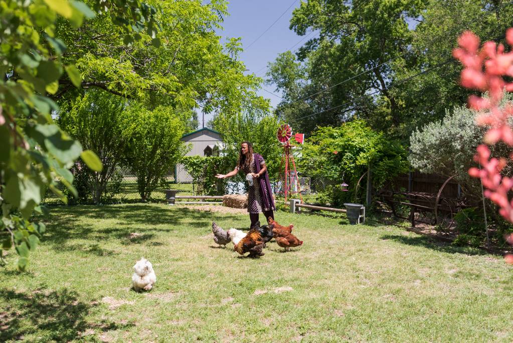 chicken ranch airbnb austin