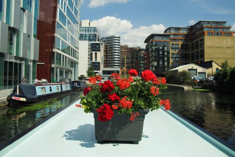 flowers on the kid friendly london Airbnb narrowboat 