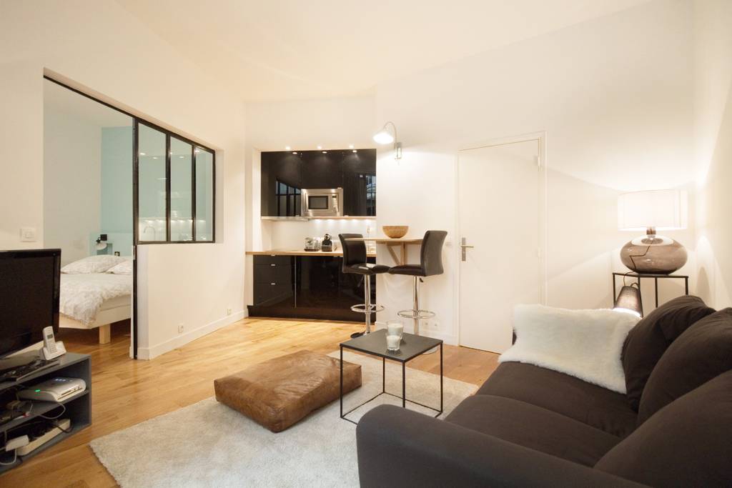 stylish airbnb apartment in latin quarter paris