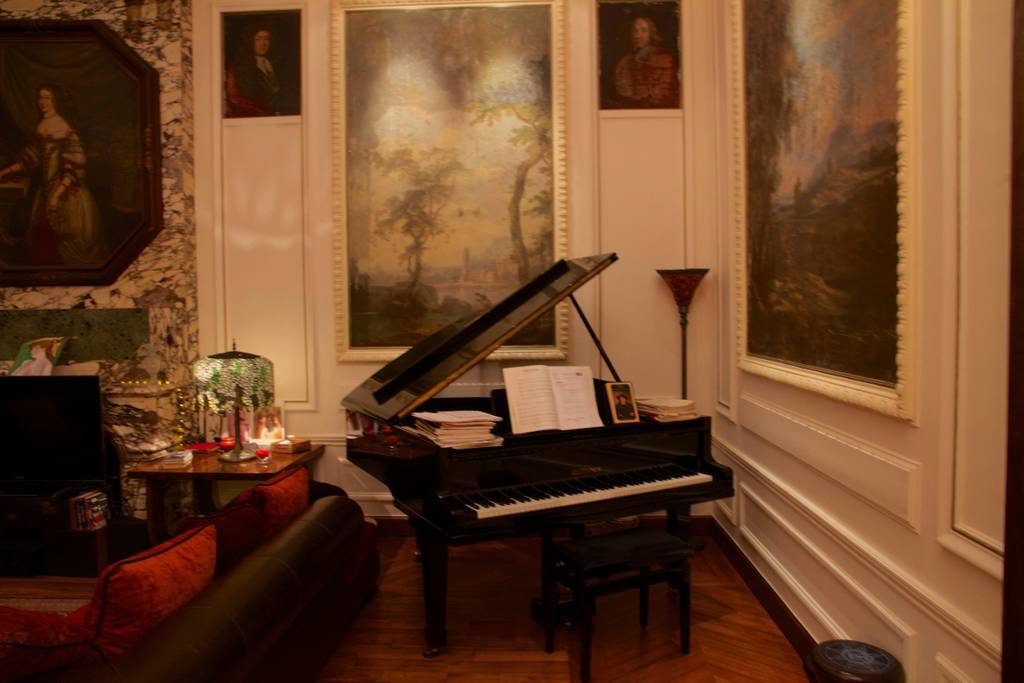 elegant paris airbnb with glass wall and piano